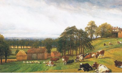 Rinder und Schafe auf der Old Park Farm von Thomas Baker